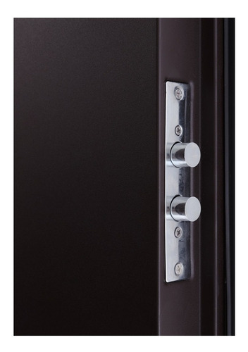 Puerta De Seguridad Xe Vista Apertura Izq Acero 100% Ch