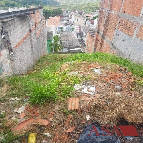 Imagem 1 de 1 de Terreno Em Residencial Colinas  -  Mogi Das Cruzes - 3076