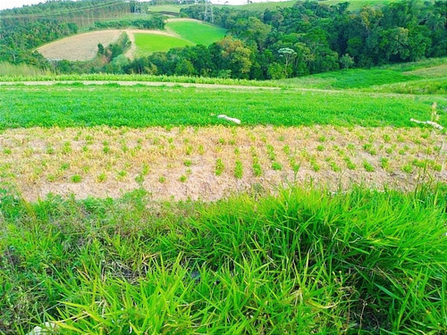 Imagem 13 de 15 de 11o- Terrenos Direto Com O Proprietário