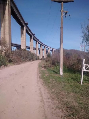 Imagen 10 de 11 de 9,70 Has De Isla, Con Acceso Vehicular Y Costa Al Parana Guazu