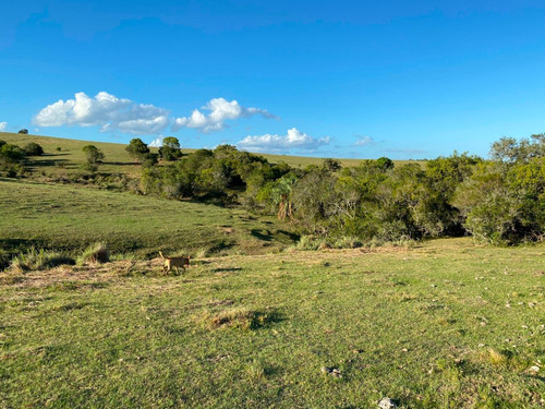 Chacra 18 Hectáreas Sobre Asfalto Camino A Garzon Con Lago