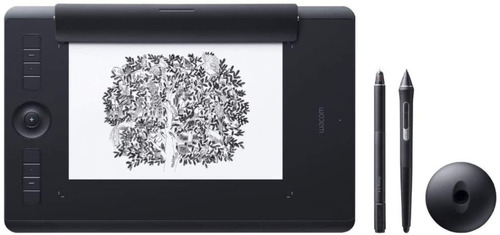 Tableta Digital De Dibujo Gráfico Wacom Intuos Pro Negra M