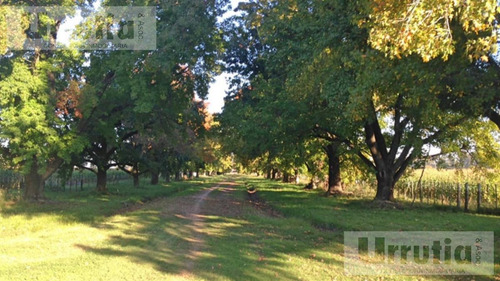 Campo De 146 Hectareas Ideal Desarrollo Urbanistico