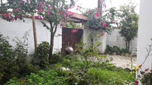 Chácara C/ Árvores Frutíferas No Gaivota - Itanhaém-4821 Npc