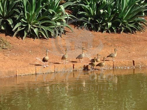 Imagem 12 de 16 de Lote À Venda Em Barão Geraldo - Lo116883
