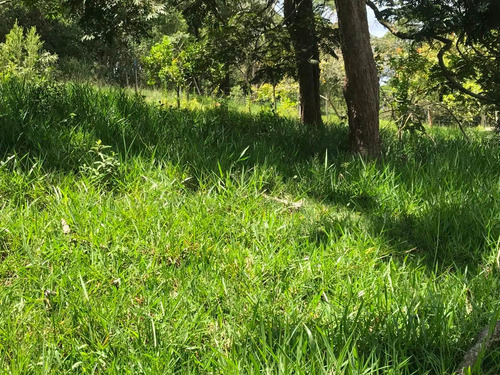 Chácaras Castelo Branco Km 68 Condomínio Mairinque S-p