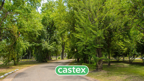 Lote En Venta En San Eliseo, Canning