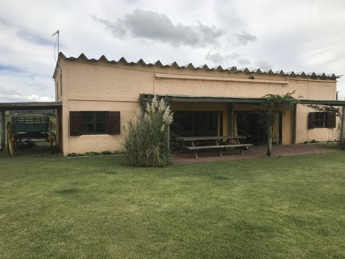 Venta De Chacra Sobre Ruta 9 A 30 Km De Jose Ignacio- Ref: 6626