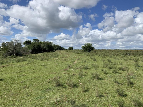 10 Has De Campo Sobre Ruta 13 A Minutos De Aiguá. Un Lugar De Descanso Ideal!