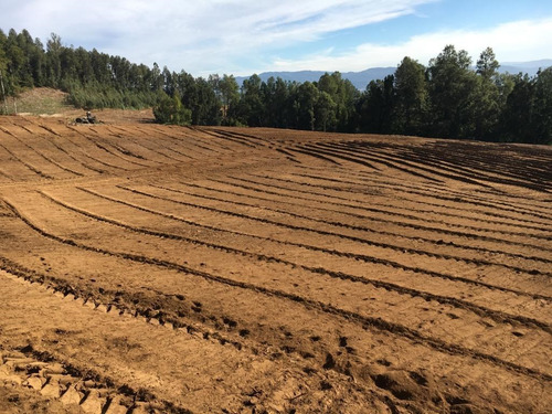 Agrícola En Venta En Gorbea