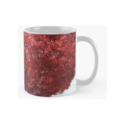 Taza Árbol Rojo De La Vida Calidad Premium