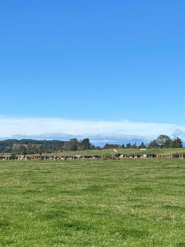 Se Vende, Parcela 2,1 Hectáreas Región De Los Lagos