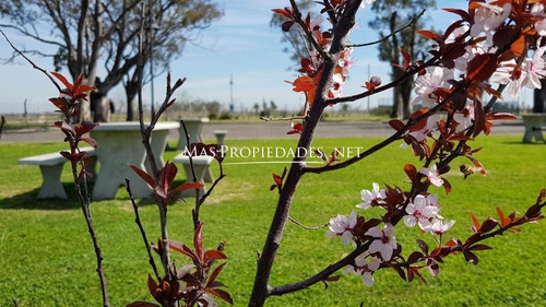 Casa En Venta En Canning San Lucas 5 Ambientes A La Laguna