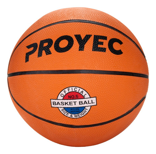 Pelota De Básquet Proyec Nº 5 Basket Profesional Importada