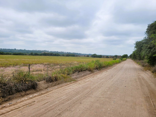 Vende 43 Héctareas, Para Cantera De Áridos O Campo