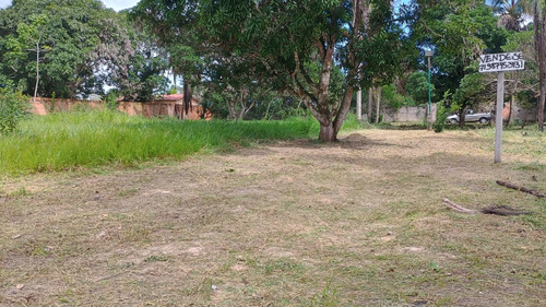 Sítio Em Aramari Próximo A Alagoinhas
