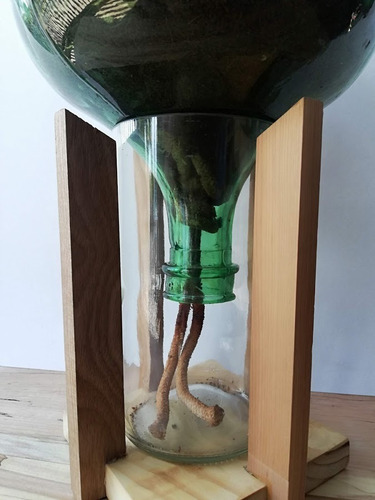 Cuchara Little Plant 32 Con Soporte, Maceta Autorregante