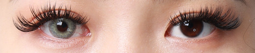 Imagen 10 de 10 de Freshlady - Sugar Gray Lentes De Contacto Anuales