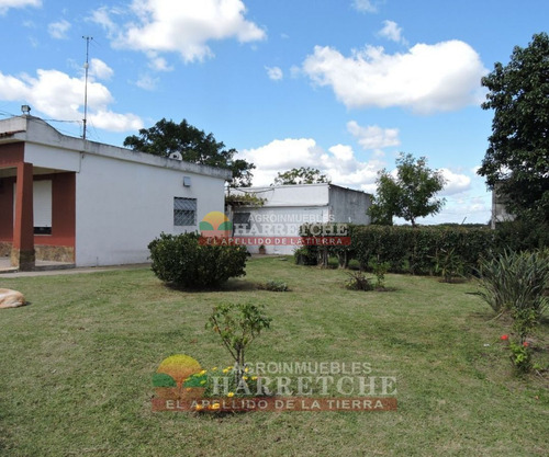Imagen 11 de 30 de Chacra 10 Has En Venta Con Construcciones En Carrasco Del Sauce,