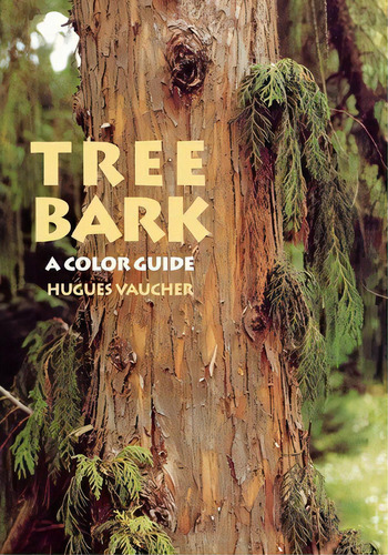 Tree Bark : A Color Guide, De Hugues Vaucher. Editorial Timber Press, Tapa Blanda En Inglés
