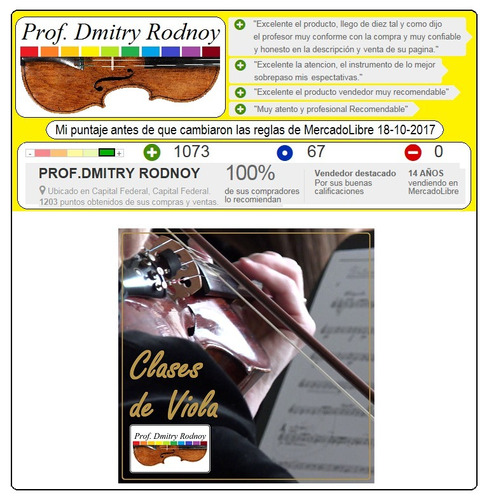 4 Clases De 45min De Viola Con El Prof. Dmitry Rodnoy