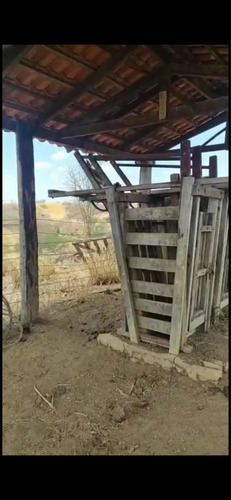 Imagem 6 de 13 de Fazenda Montada Pra Pecuária Município Unai