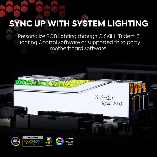 G.skill Trident Z5 Royal Neo Series (amd Expo) Ddr5 Ram