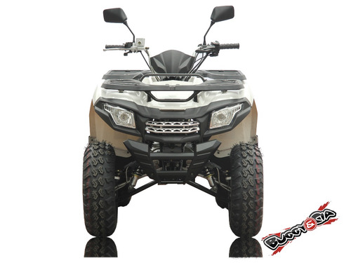 Quadriciclo Brutus 200cc Utilitário Painel Digital