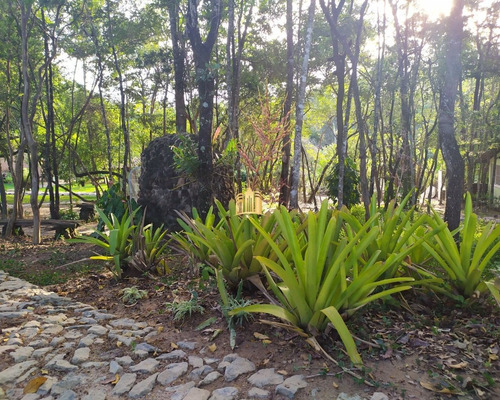 Imagem 24 de 30 de Sitio Em Boa Vista - Esmeraldas - St00068 - 34802218