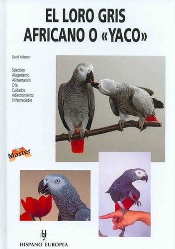 El Loro Gris Africano O Yaco