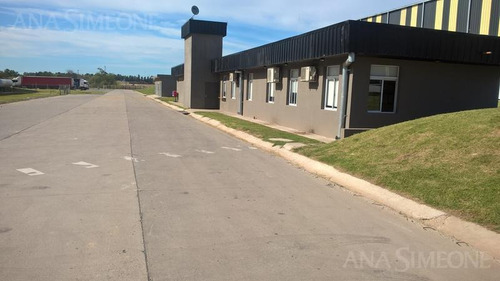 Imagen 6 de 8 de Excelente Nave Aaa De 11.500 M2 A Estrenar