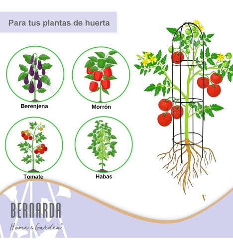 Imagen 2 de 9 de Tutor Para Plantas Huertas Jardín Trepadoras Hierro Pack X 2