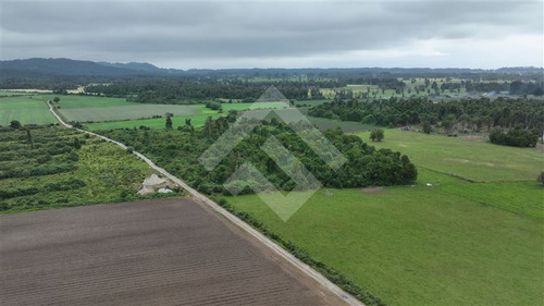 Agrícola En Venta En Lago Ranco La Unión