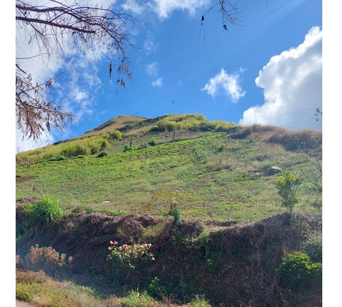 Imagen 9 de 21 de Best House Vende Terreno En El Jarillo Cerca De Quebrada Honda