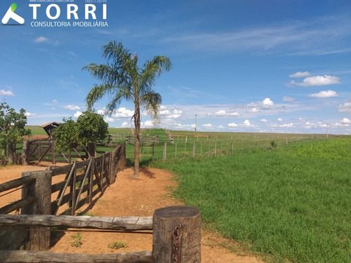 Imagem 8 de 20 de Fazenda À Venda Em Alto Alegre - Fa00176 - 69382951
