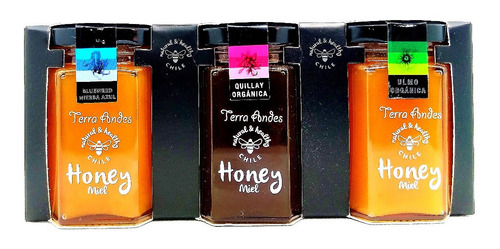 Imagen 2 de 7 de Miel Monofloral Premium, Pack (720g) - Ulmo,quillay, H.azul