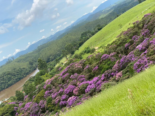 Imagem 2 de 14 de F16- Terrenos A Venda,com Ótima Vista