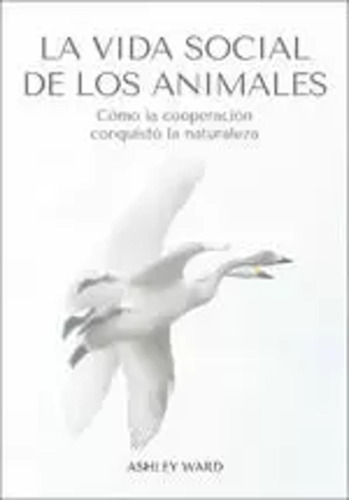 La Vida Social De Los Animales - Ward, Ashley  - *