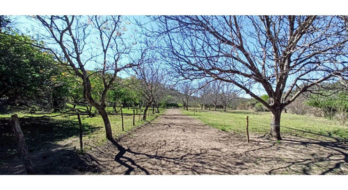 Imagen 30 de 30 de Venta. 67 Hectareas En Candonga, Cordoba. Con 2 Km De Costa De Rio. Titulos Perfectos