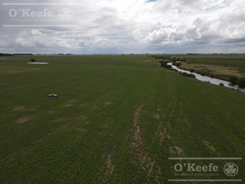 Imagen 6 de 15 de Campo Mixto 330 Has A 80km Del Puerto De Necochea- San Cayetano