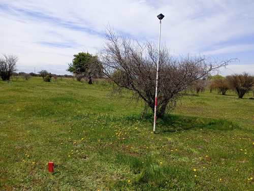 Parcela 8.000 M2 El Canelo , Comuna De Retiro - Region Maule