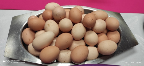 Imagen 2 de 3 de Vendo Huevos Caseros 80 Docenas Caseros Hay Gallinas