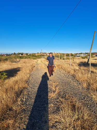 Parcela De 5000 M2 Factibilidad Pozo, Postación Eléctrica