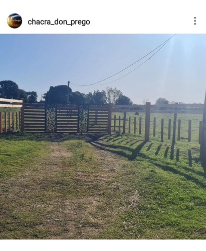 Imagen 4 de 14 de Chacra En Venta Canelon Chico Ruta 67y66 5 Hectáreas