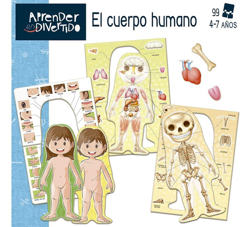 Imagen 4 de 10 de Puzzle Aprender El Cuerpo Humano Rompecabezas Educa Atrix ®