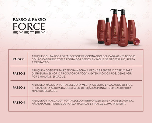 Aneethun Shampoo Fortalecedor Force System 300ml
