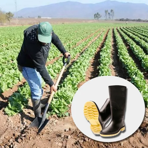 Botas de caucho venus llanera sales