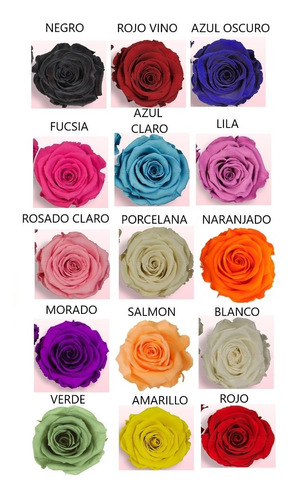Rosa Preservada Natural Azul Oscuro + Luz Led + Obsequios | Envío gratis
