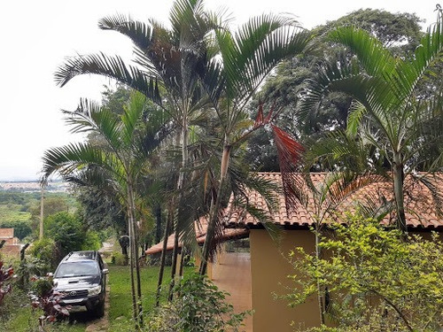 Imagem 28 de 30 de Chácara Com 3 Dormitórios À Venda, 5000 M² Por R$ 990.000,00 - Bom Jardim - Itupeva/sp - Ch0079