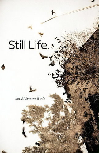 Still Life, De Jos A Vitterito Ii Md. Editorial Createspace Independent Publishing Platform, Tapa Blanda En Inglés